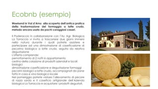 Weekend in Val d’Arno alla scoperta dell’antica pratica
della trasformazione del formaggio a latte crudo,
metodo ancora usato da pochi coraggiosi casari.
Il Poderaccio in collaborazione con l’Az. Agr. Biologica
La Torraccia vi invita a trascorrere due giorni immersi
nella natura durante i quali potrete assistere e
partecipare ad una dimostrazione di caseificazione di
pecorino biologico a latte crudo, seguita da relativa
degustazione
L'offerta comprende:
pernottamento di 2 notti in appartamento
cestino della colazione di prodotti aziendali e locali
biologici
dimostrazione caseificazione e degustazione formaggi
pecorini biologici a latte crudo, accompagnati da pane
fatto in casa e vino biologico locale
Nel pomeriggio potrete visitare l’allevamento di pecore
di razza sarda e il caseificio artigianale dell’Azienda
biologica La Torraccia e acquistare i prodotti degustati.
Ecobnb (esempio)
 