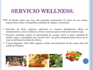SERVICIO WELLNESS. TOP 10 diseña viajes que han sido pensados únicamente en hacer de sus visitas, experiencias únicas e irrepetibles rodeados de amigos y atenciones. Selección de fruta orgánica cultivada en huertos hidropónicos libres de contaminantes, será un delicioso y fresco comenzar para el inicio de nuestro viaje. Nuestros invitados tienen la oportunidad de escoger entre la gran variedad de snacks, tapas y montaditos que nuestro chef  con gusto preparará para hacer de su viaje un delicioso bocadito de cultura. Y para despertar ,Café 100% orgánico traído exclusivamente de las zonas altas del estado de Chiapas.  