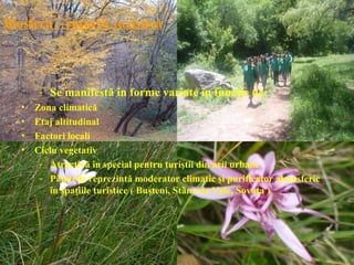 Biosfera – resursă turistică



        - Se manifestă în forme variate în funcţie de:
   •   Zona climatică
   •   Etaj altitudinal
   •   Factori locali
   •   Ciclu vegetativ
        - Atractivă în special pentru turiştii din arii urbane
        - Pădurile reprezintă moderator climatic şi purificator atmosferic
          în spaţiile turistice ( Buşteni, Stâna de Vale, Sovata )
 