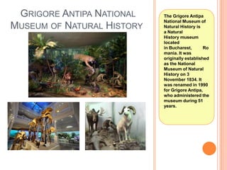 GRIGORE ANTIPA NATIONAL
MUSEUM OF NATURAL HISTORY

The Grigore Antipa
National Museum of
Natural History is
a Natural
History museum
located
in Bucharest,
Ro
mania. It was
originally established
as the National
Museum of Natural
History on 3
November 1834. It
was renamed in 1990
for Grigore Antipa,
who administered the
museum during 51
years.

 