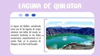 La laguna del Quillota, considerada
como una de las lagunas de origen
volcánico más bellas del mundo, se
encuentra localizada en los Andes
ecuatorianos, específicamente en el
cantón Pujilí, en la provincia de
Cotopaxi, en la Sierra del Ecuador.
 