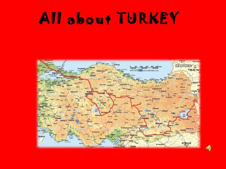 turkey presentation