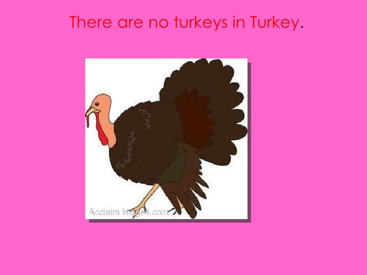 Turkey's Presentation