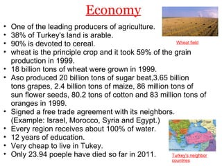 Economy One of the leading producers of agriculture. 38% of Turkey's land is arable. 90% is devoted to cereal. wheat is the principle crop and it took 59% of the grain production in 1999. 18 billion tons of wheat were grown in 1999. Aso produced 20 billion tons of sugar beat,3.65 billion tons grapes, 2.4 billion tons of maize, 86 million tons of sun flower seeds, 80.2 tons of cotton and 83 million tons of oranges in 1999. Signed a free trade agreement with its neighbors. (Example: Israel, Morocco, Syria and Egypt.) Every region receives about 100% of water. 12 years of education. Very cheap to live in Tukey. Only 23.94 poeple have died so far in 2011. Wheat field Turkey's neighbor countries 