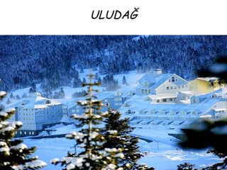 ULUDAĞ
 