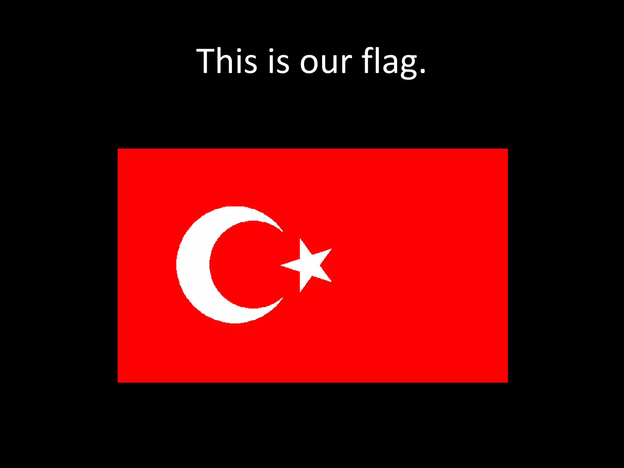 This is our flag.
 