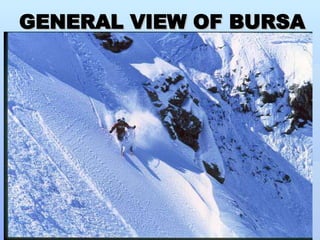 GENERAL VIEW OF BURSA 