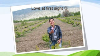 Love at first sight 
 