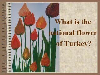 What is the
national flower
of Turkey?
 