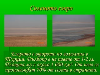 ССооллееннооттоо ееззеерроо 
ЕЕззееррооттоо ее ввттооррооттоо ппоо ггооллееммииннаа вв 
ТТууррцциияя.. ДДъъллббооккоо ее ннее ппооввееччее оотт 11--22 мм.. 
ППллоощщттаа ммуу ее ооккооллоо 11 660000 ккмм².. ООтт ннееггоо ссее 
ппррооииззввеежжддаатт 7700%% оотт ссооллттаа вв ссттррааннааттаа.. 
 