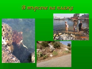 ВВ ттъъррссееннее ннаа ппллаажжаа 
 