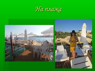 ННаа ппллаажжаа 
 