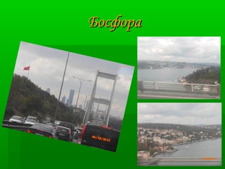 ББооссффоорраа 
 