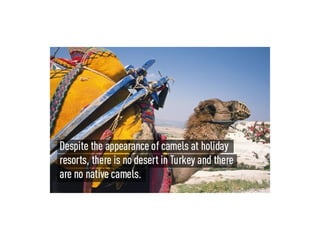 INTERESTING FACTS ABOUT Turkey