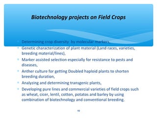 Biotechnology projects on Field Crops 
* Determining crop diversity by molecular markers, 
* Genetic characterization of plant material (Land races, varieties, 
breeding material/lines), 
* Marker assisted selection especially for resistance to pests and 
diseases, 
* Anther culture for getting Doubled haploid plants to shorten 
breeding duration, 
* Analyzing and determining transgenic plants, 
* Developing pure lines and commercial varieties of field crops such 
as wheat, cicer, lentil, cotton, potatos and barley by using 
combination of biotechnology and conventional breeding. 
15 
 