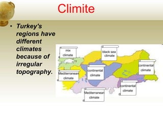 Climite
• Turkey's
regions have
different
climates
because of
irregular
topography.
mix
climate
Mediterranean
climate
Mediterranean
climate
black sea
climate
continental
climate
continental
climate
continental
climate
 