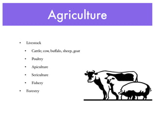 Agriculture
• Livestock
• Cattle; cow, buﬀalo, sheep, goat
• Poultry
• Apiculture
• Sericulture
• Fishery
• Forestry
 