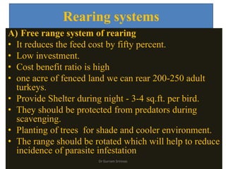 Rearing systems
A) Free range system of rearing
• It reduces the feed cost by fifty percent.
• Low investment.
• Cost benefit ratio is high
• one acre of fenced land we can rear 200-250 adult
turkeys.
• Provide Shelter during night - 3-4 sq.ft. per bird.
• They should be protected from predators during
scavenging.
• Planting of trees for shade and cooler environment.
• The range should be rotated which will help to reduce
incidence of parasite infestation
Dr Gurram Srinivas
 