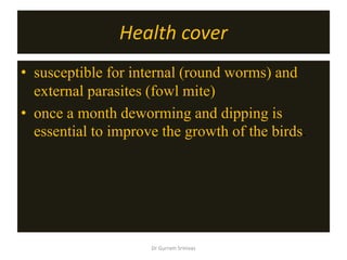 Health cover
• susceptible for internal (round worms) and
external parasites (fowl mite)
• once a month deworming and dipping is
essential to improve the growth of the birds.
Dr Gurram Srinivas
 