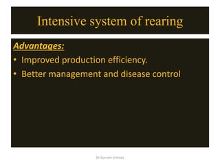 Intensive system of rearing
Advantages:
• Improved production efficiency.
• Better management and disease control
Dr Gurram Srinivas
 