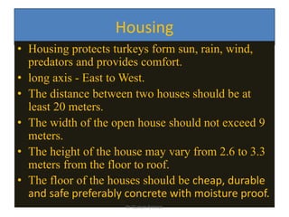 Housing
• Housing protects turkeys form sun, rain, wind,
predators and provides comfort.
• long axis - East to West.
• The distance between two houses should be at
least 20 meters.
• The width of the open house should not exceed 9
meters.
• The height of the house may vary from 2.6 to 3.3
meters from the floor to roof.
• The floor of the houses should be cheap, durable
and safe preferably concrete with moisture proof.
Dr Gurram Srinivas
 