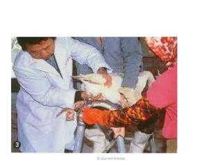 Dr Gurram Srinivas
 