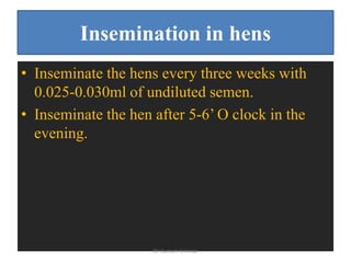 Insemination in hens
• Inseminate the hens every three weeks with
0.025-0.030ml of undiluted semen.
• Inseminate the hen after 5-6’ O clock in the
evening.
Dr Gurram Srinivas
 