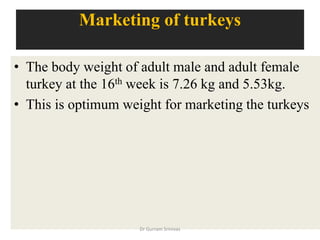 Marketing of turkeys
• The body weight of adult male and adult female
turkey at the 16th week is 7.26 kg and 5.53kg.
• This is optimum weight for marketing the turkeys
Dr Gurram Srinivas
 