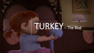 TURKEY– The Bird
 