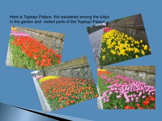 Here is Topkapı Palace. Wewanderedamongthetulipsin thegardenandvisitedparts of the Topkapı Palace.