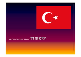 PHOTOGRAPHS FROM

TURKEY

 