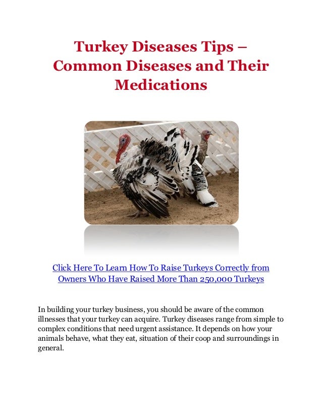 Turkey Diseases Tips Common Diseases and Their Medications