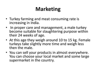 Marketing
• Turkey farming and meat consuming rate is
increasing in India.
• In proper care and management, a male turkey
become suitable for slaughtering purpose within
their 24 weeks of age.
• At this age they weigh around 10 to 15 kg. Female
turkeys take slightly more time and weigh less
then the male.
• You can sell your products in almost everywhere.
You can choose your local market and some large
supermarket in the country.
 