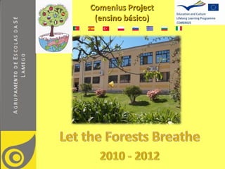 Comenius Project
 (ensino básico)
 