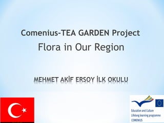 Comenius-TEA GARDEN Project
Flora in Our Region
 