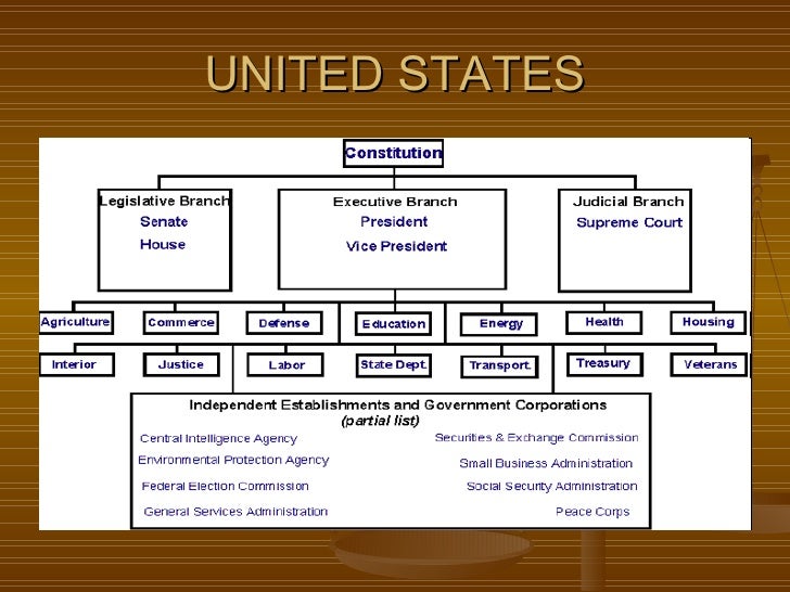 American law and legal systems