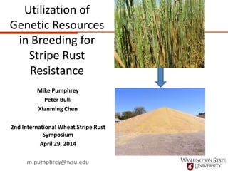 Utilization of
Genetic Resources
in Breeding for
Stripe Rust
Resistance
Mike Pumphrey
Peter Bulli
Xianming Chen
2nd International Wheat Stripe Rust
Symposium
April 29, 2014
m.pumphrey@wsu.edu
 