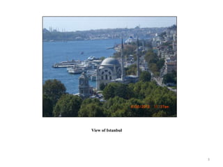 View of Istanbul




                   3
 