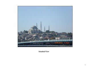 Istanbul View




                4
 