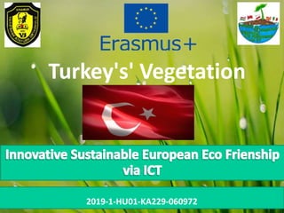 Turkey's' Vegetation
2019-1-HU01-KA229-060972
 