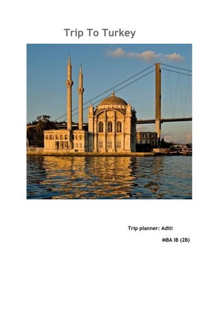 Trip To Turkey




            Trip planner: Aditi

                          MBA IB (2B)
 