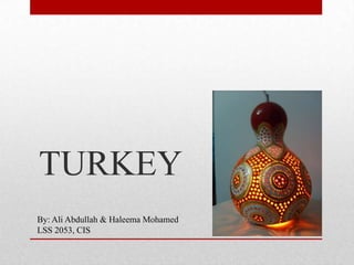 TURKEY
By: Ali Abdullah & Haleema Mohamed
LSS 2053, CIS
 