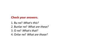 Check your answers.
1. Bu ne? What’s this?
2. Bunlar ne? What are these?
3. O ne? What’s that?
4. Onlar ne? What are those?
 