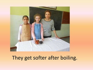 They get softer after boiling.
 