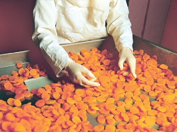 Turkish Dried Apricots Processing Stages