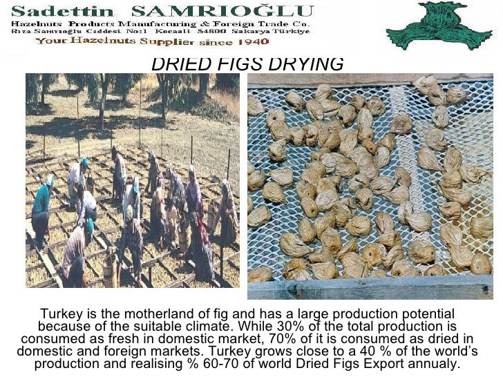Turkish Dried Figs Processing Stages