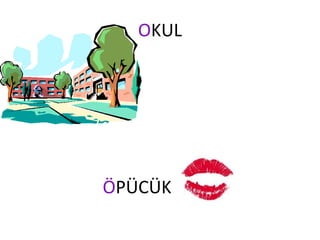 O KUL Ö PÜCÜK 