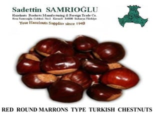 RED  ROUND MARRONS  TYPE  TURKISH  CHESTNUTS WORLD’S MOST DELICIOUS CHESTNUTS FROM  AEGEAN 