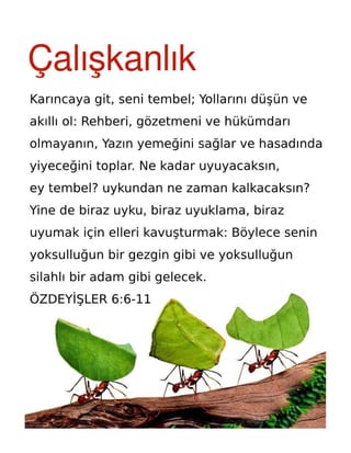 Turkish Motivational Diligence Tract.pdf