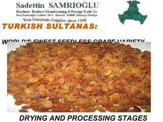 TURKISH SULTANAS:   WORLD'S FINEST SEEDLESS GRAPE VARIETY DRYING AND PROCESSING STAGES 